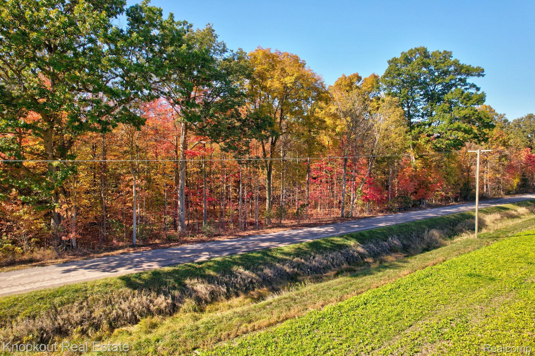 4000 S Reese Road Frankenmuth Township MI 48734