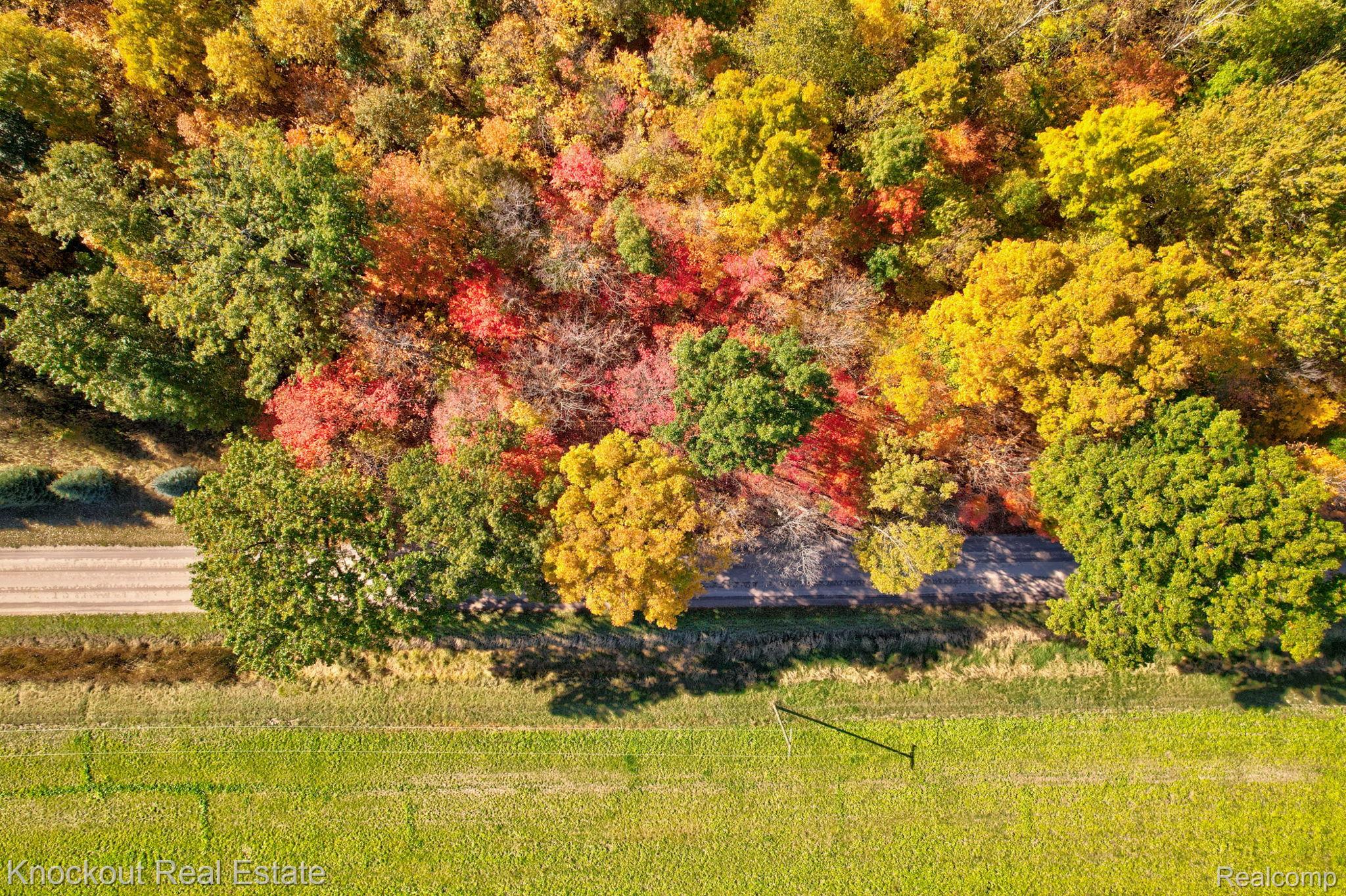 4000 S Reese Road Frankenmuth Township MI 48734