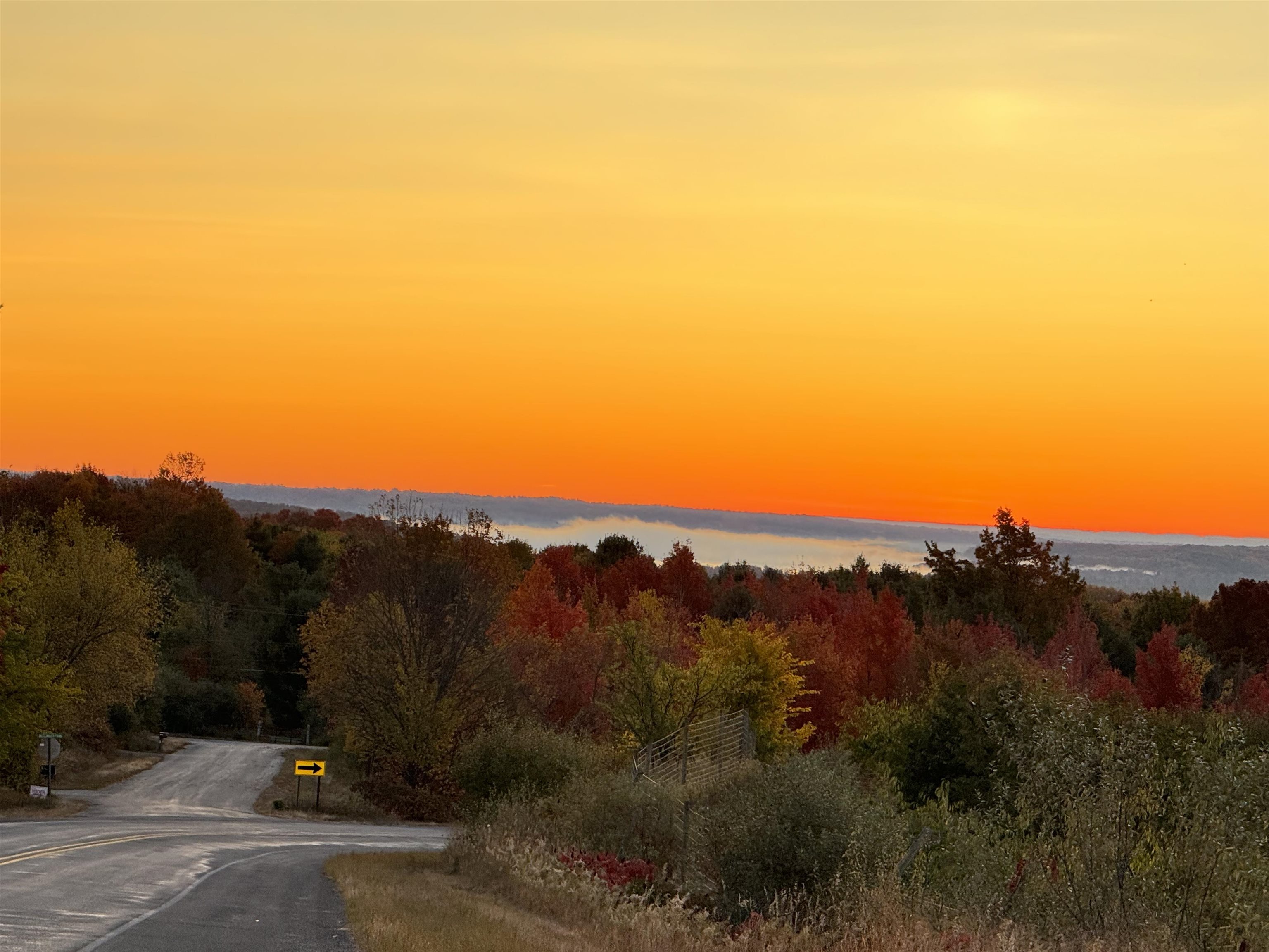 Lot #1 E Bellinger Road Kasson Township MI 49621