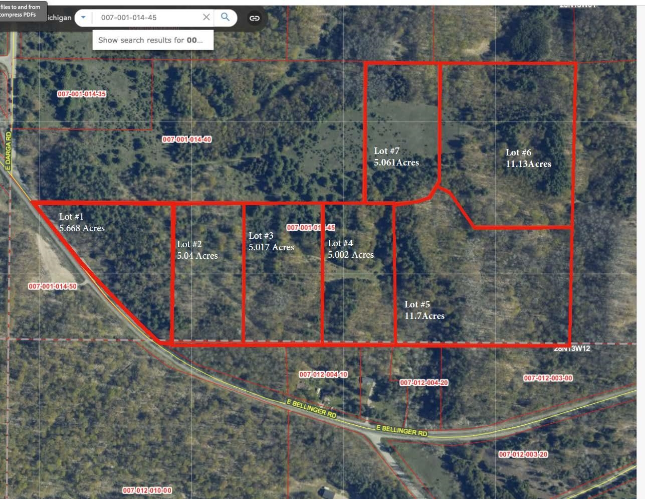 Lot #1 E Bellinger Road Kasson Township MI 49621