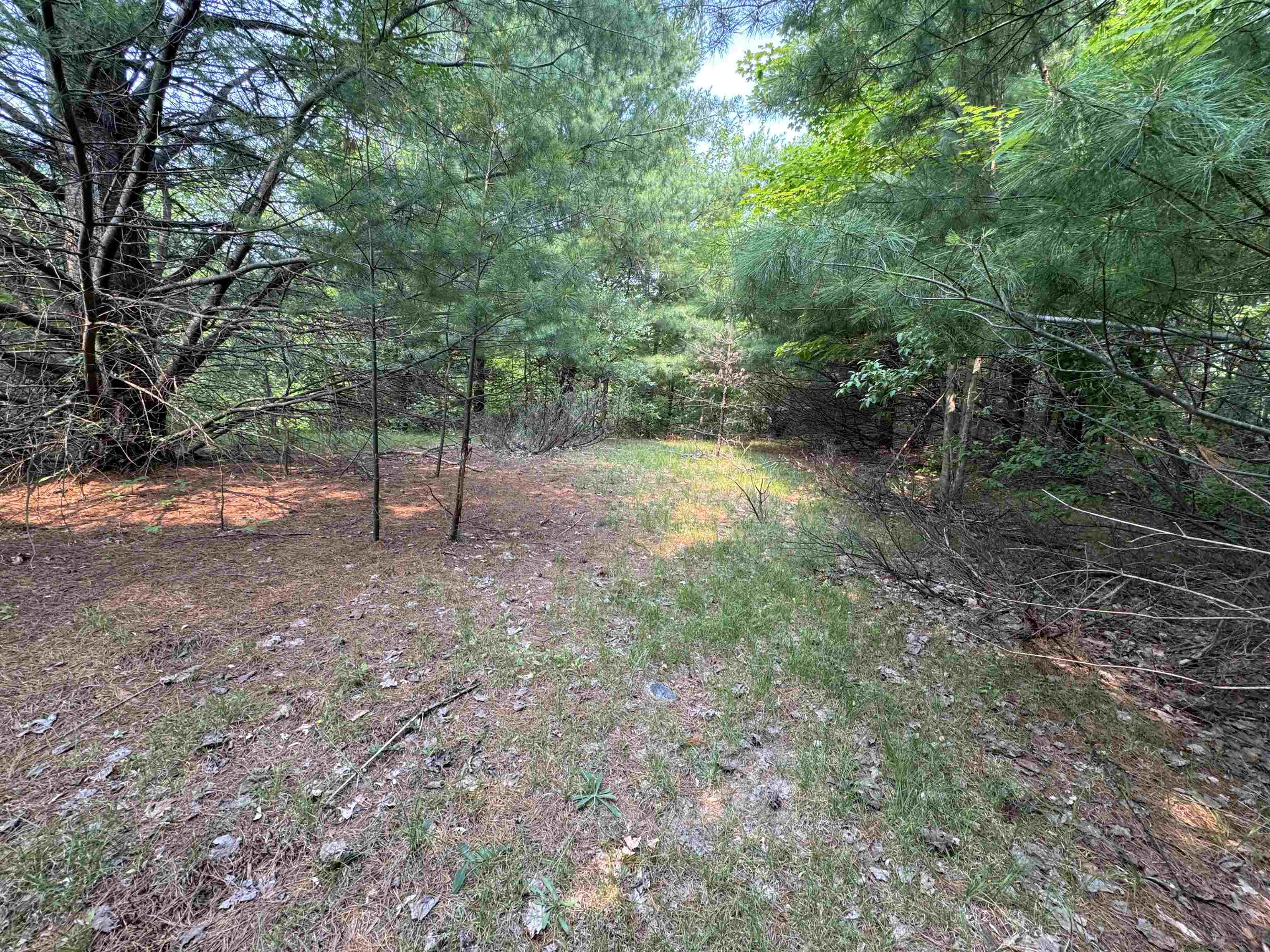 Lot #1 E Bellinger Road Kasson Township MI 49621