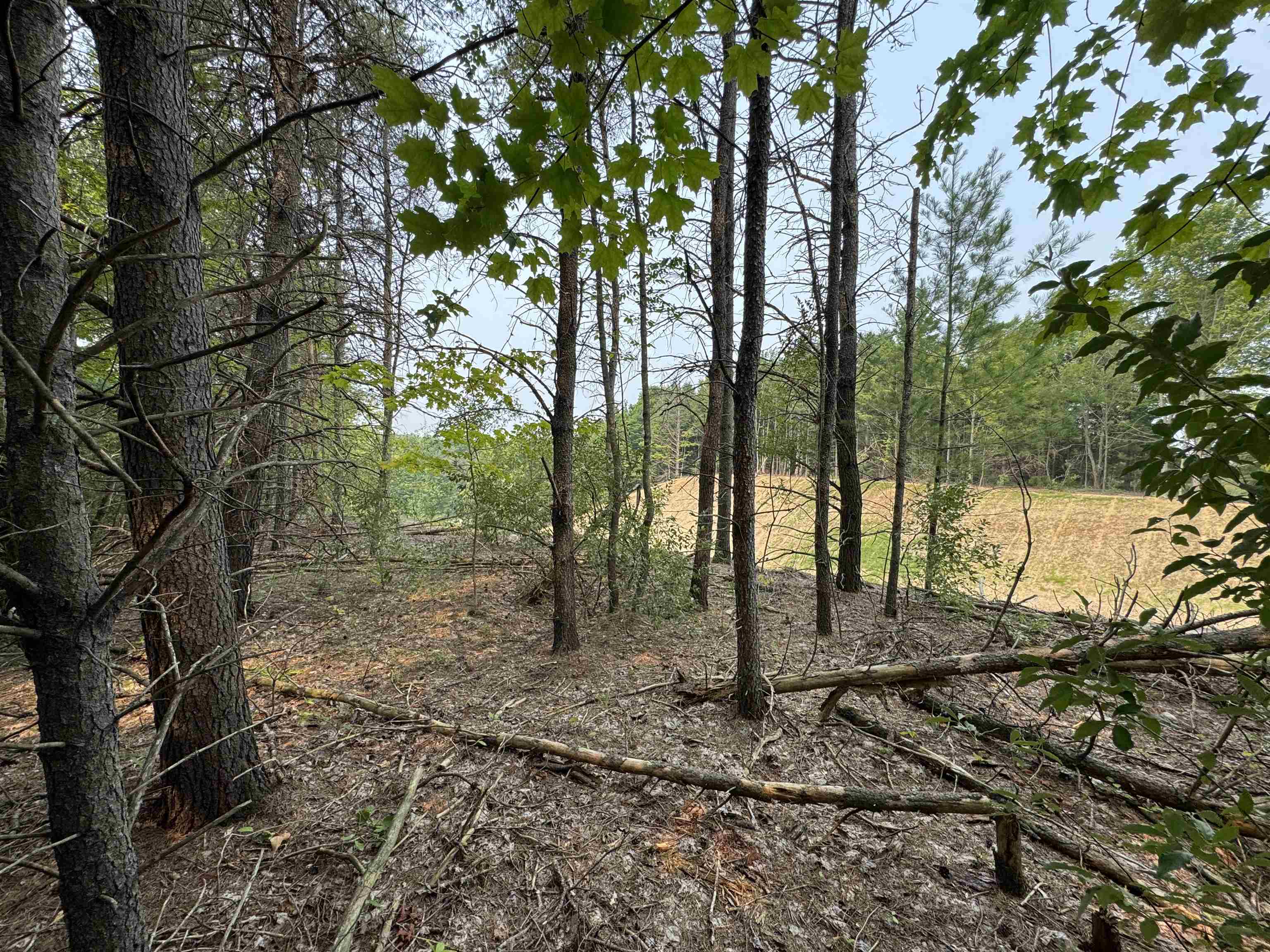 Lot #1 E Bellinger Road Kasson Township MI 49621