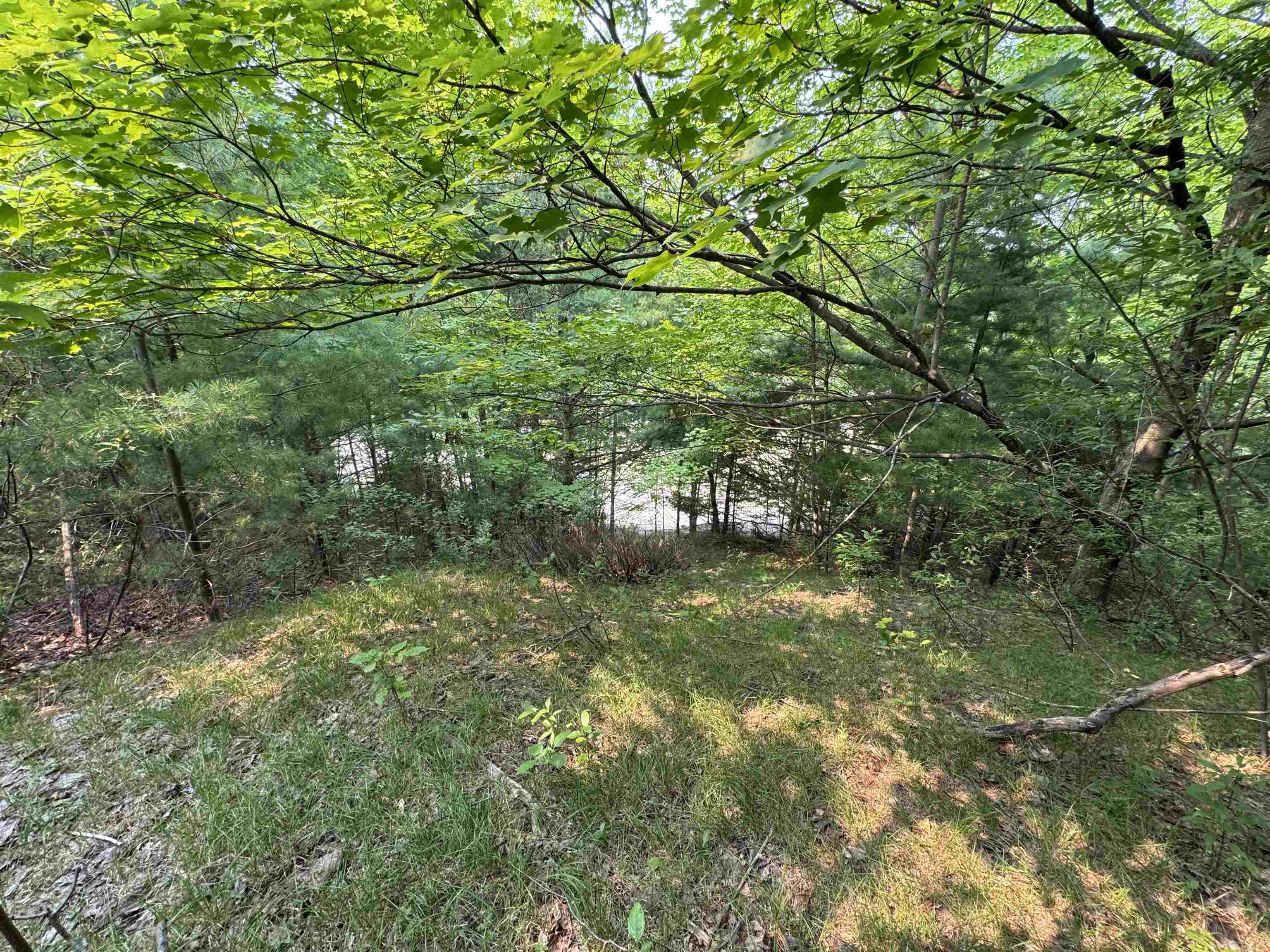 Lot #1 E Bellinger Road Kasson Township MI 49621