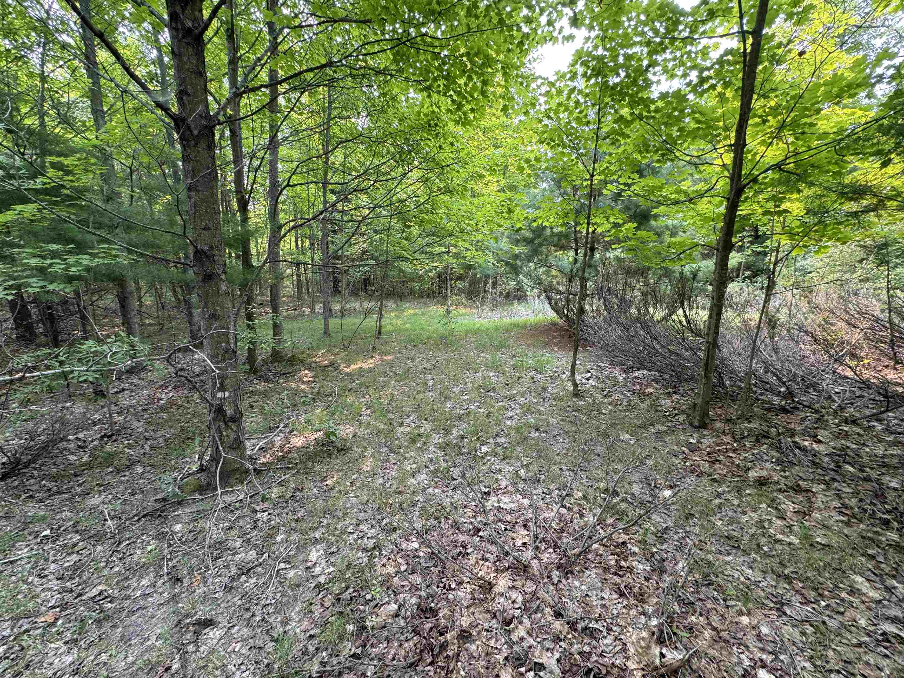 Lot #1 E Bellinger Road Kasson Township MI 49621