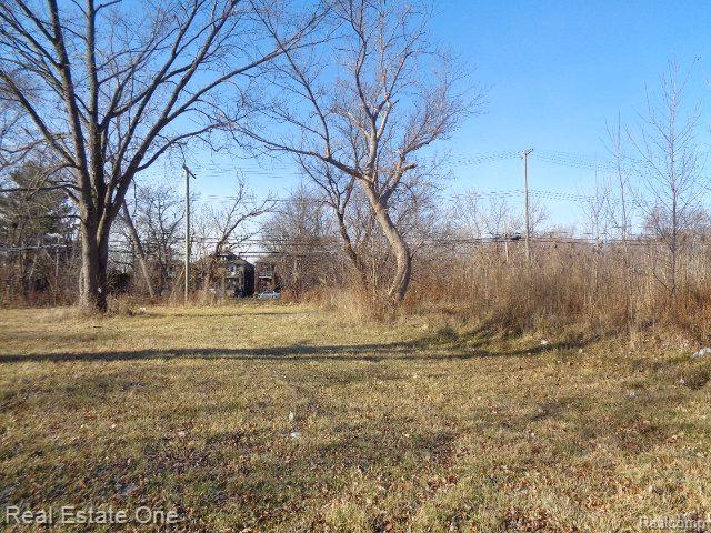18088 Pelkey Street Detroit City MI 48205
