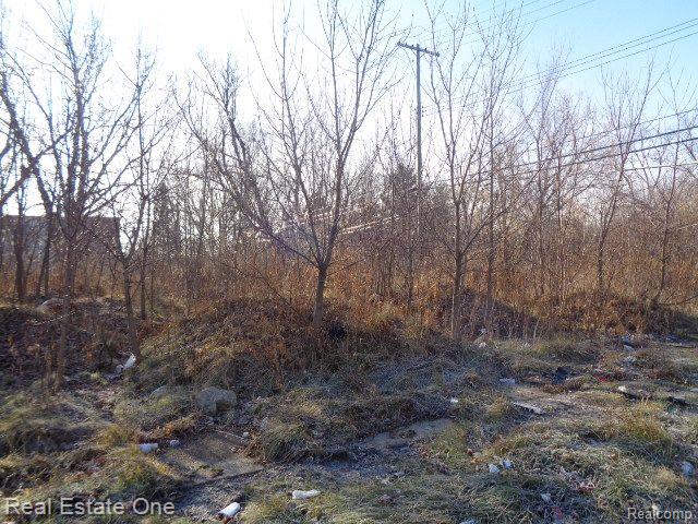 18088 Pelkey Street Detroit City MI 48205