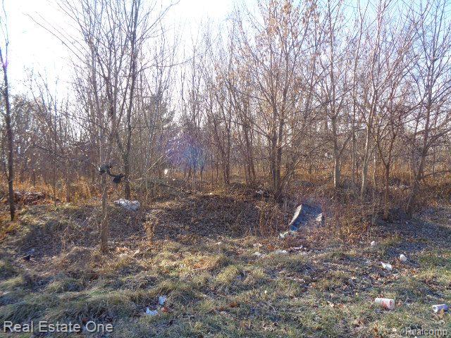 18088 Pelkey Street Detroit City MI 48205