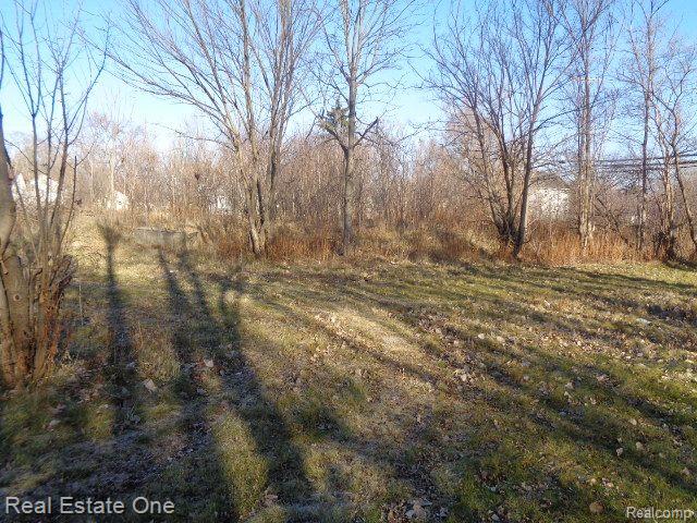 18088 Pelkey Street Detroit City MI 48205