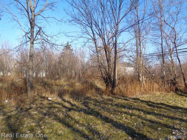 18088 Pelkey Street Detroit City MI 48205