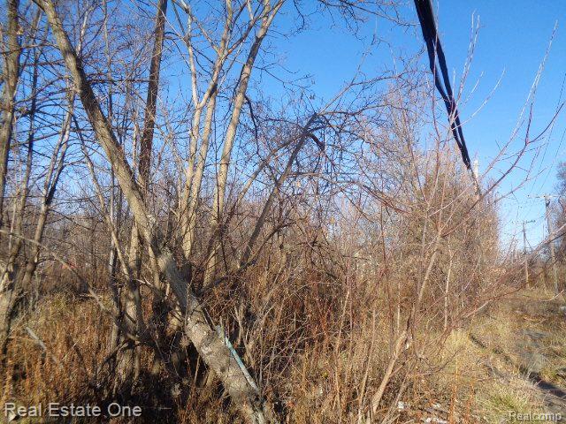 18088 Pelkey Street Detroit City MI 48205