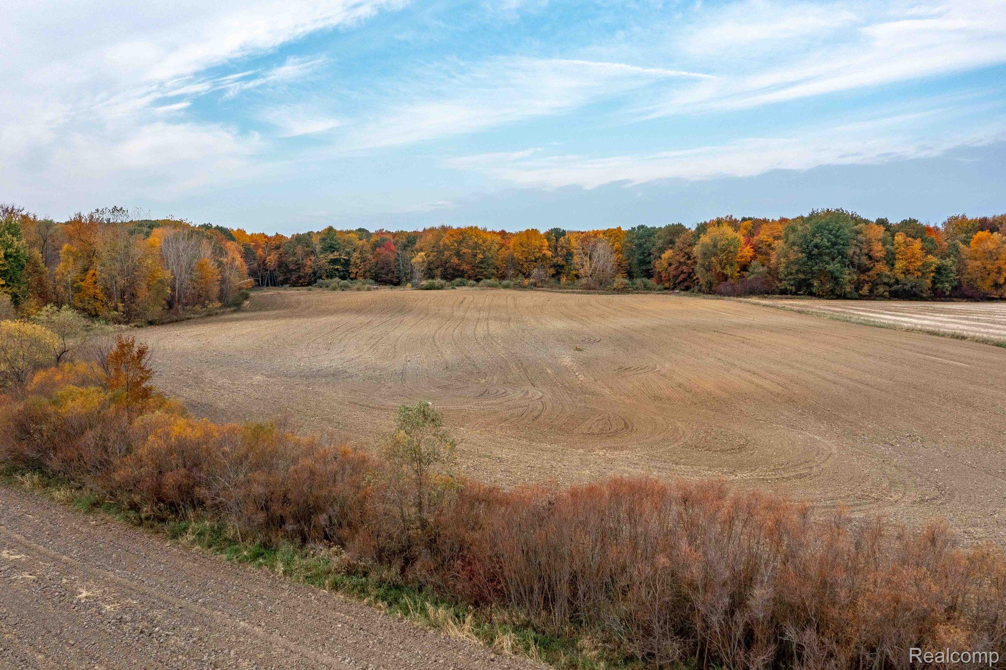 0 Wood Road Marlette Township MI 48453
