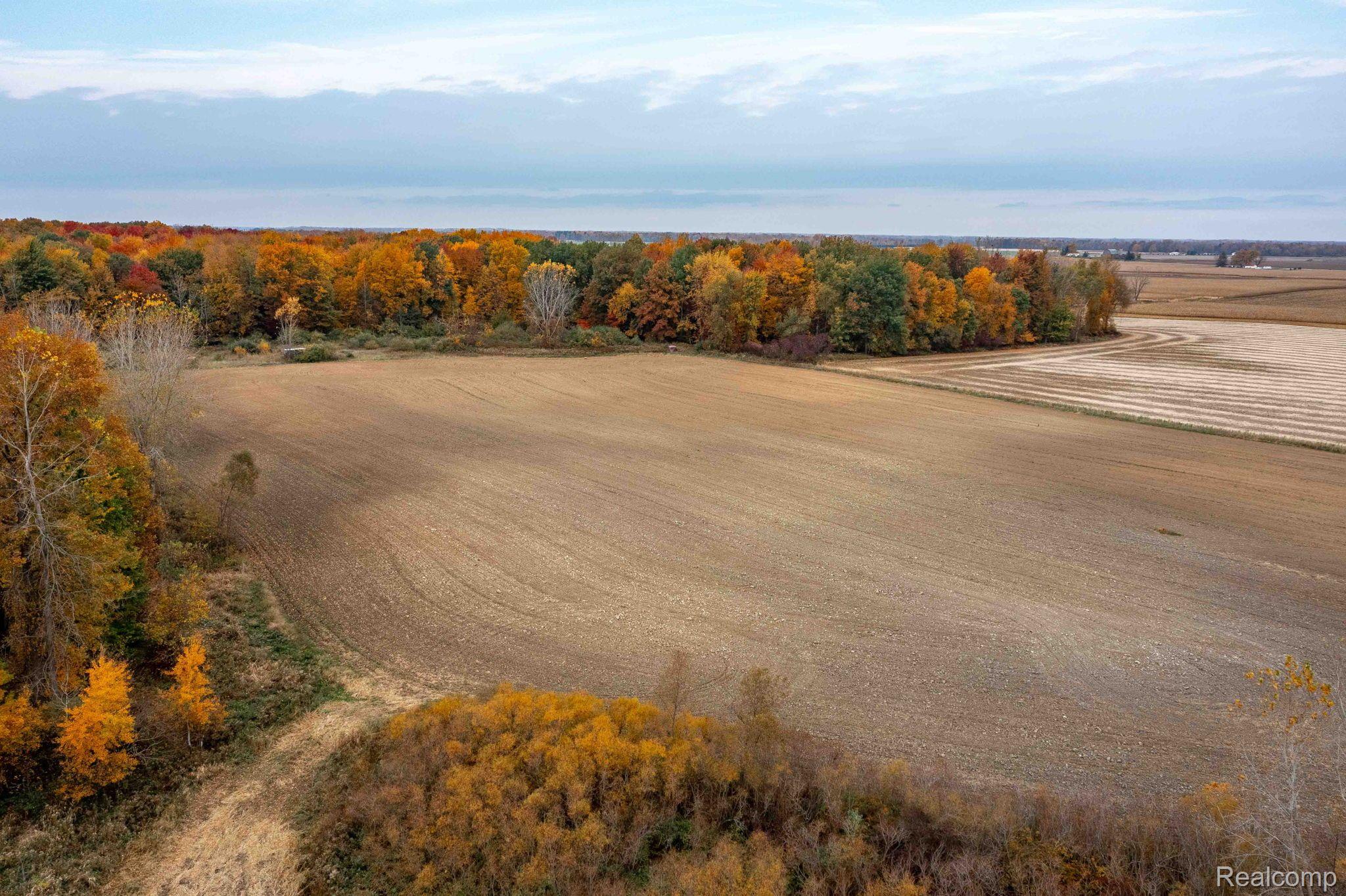 0 Wood Road Marlette Township MI 48453