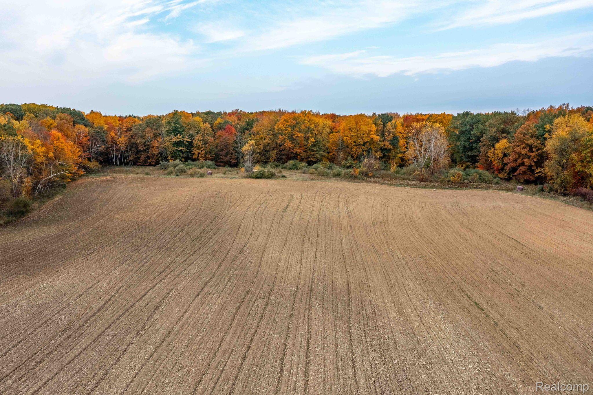 0 Wood Road Marlette Township MI 48453