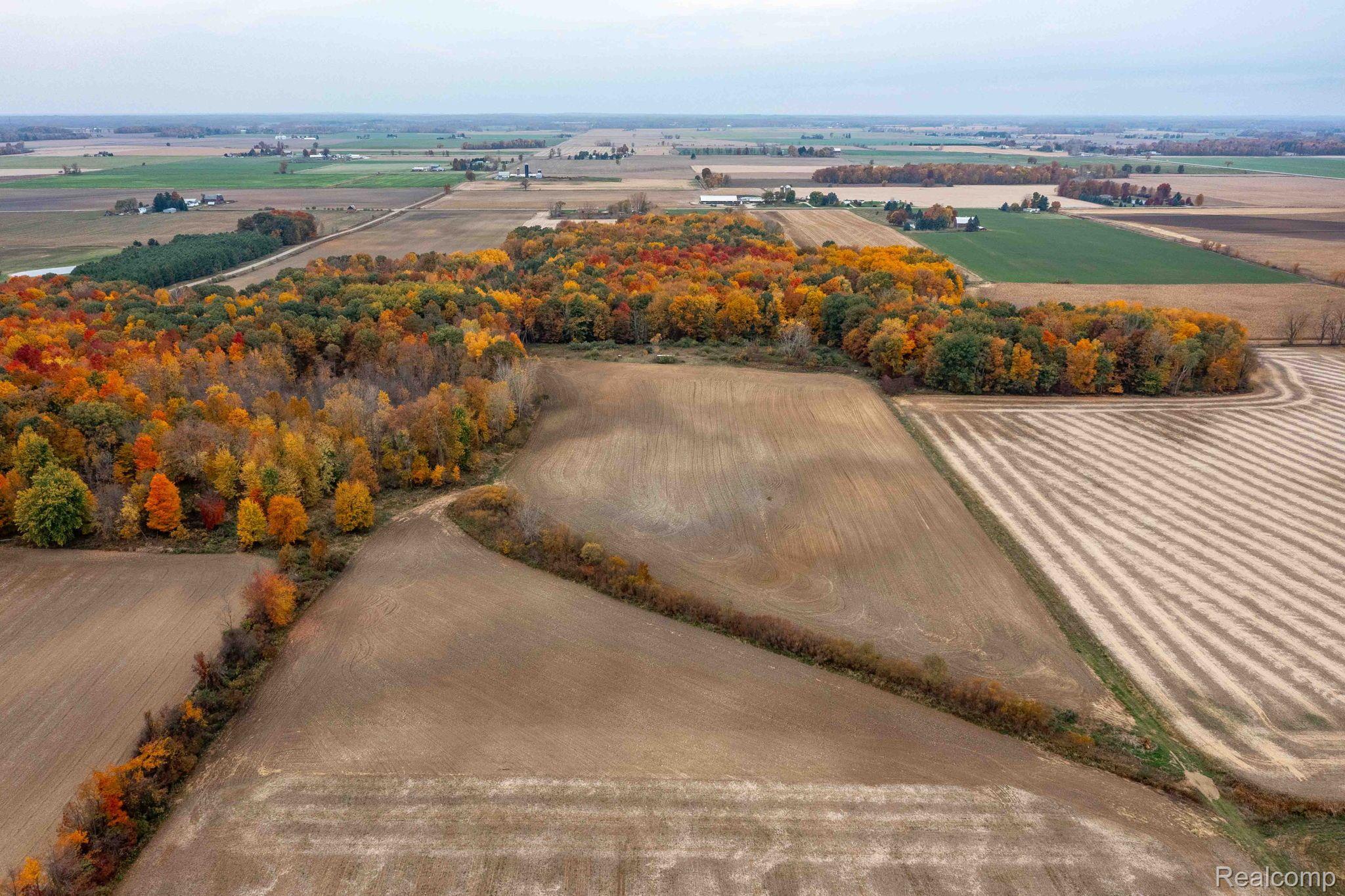 0 Wood Road Marlette Township MI 48453