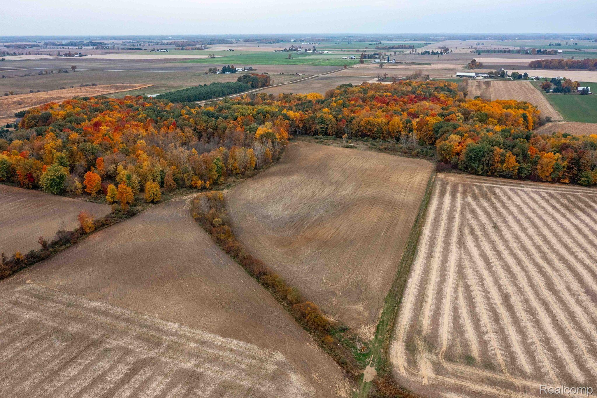 0 Wood Road Marlette Township MI 48453