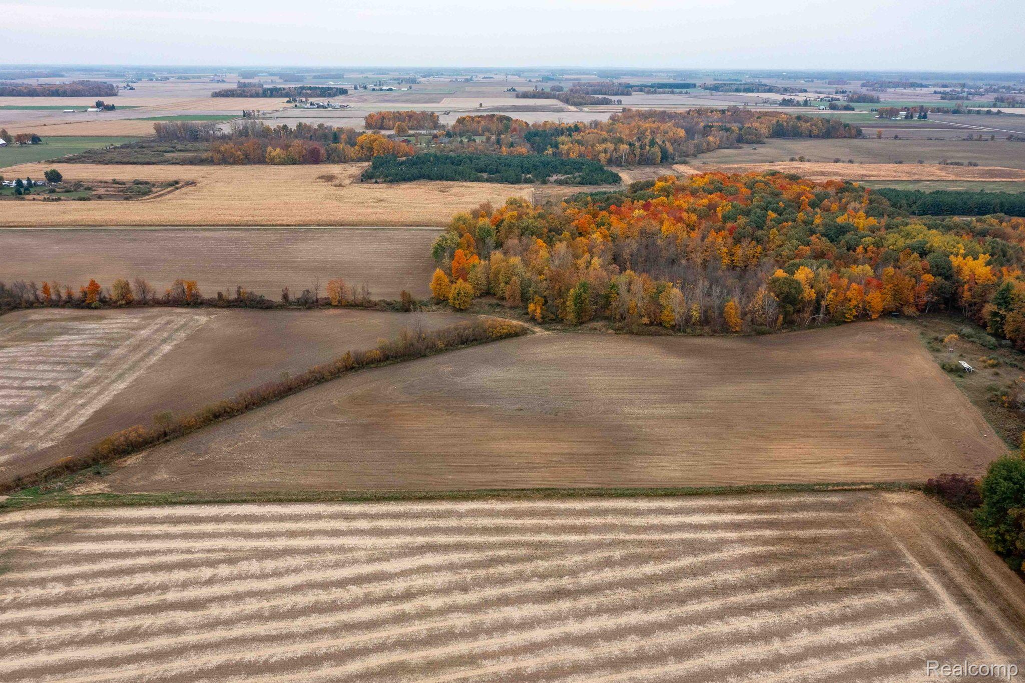 0 Wood Road Marlette Township MI 48453