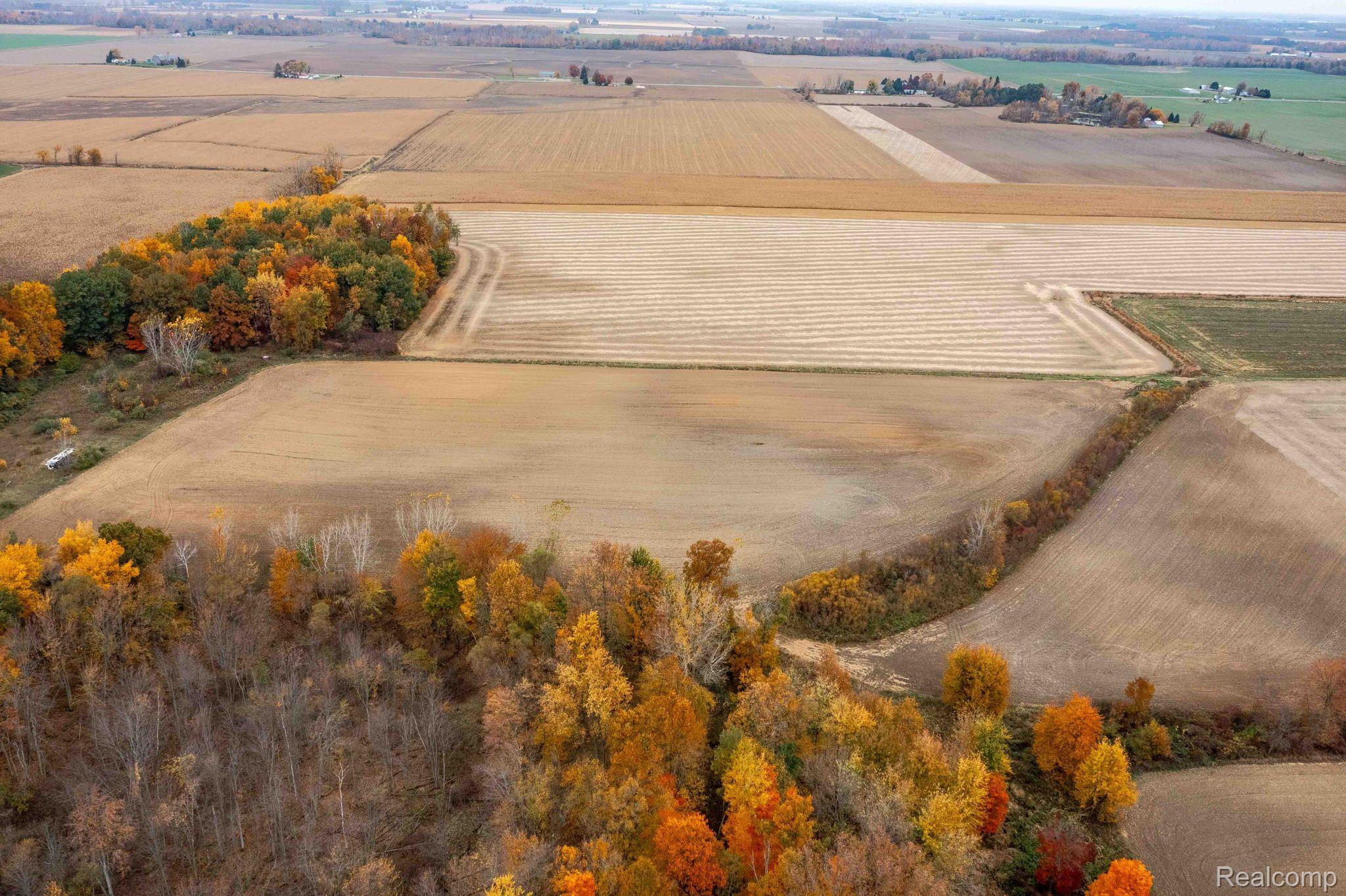 0 Wood Road Marlette Township MI 48453