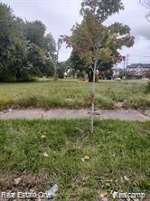 2208 Hibbard Street Detroit City MI 48214