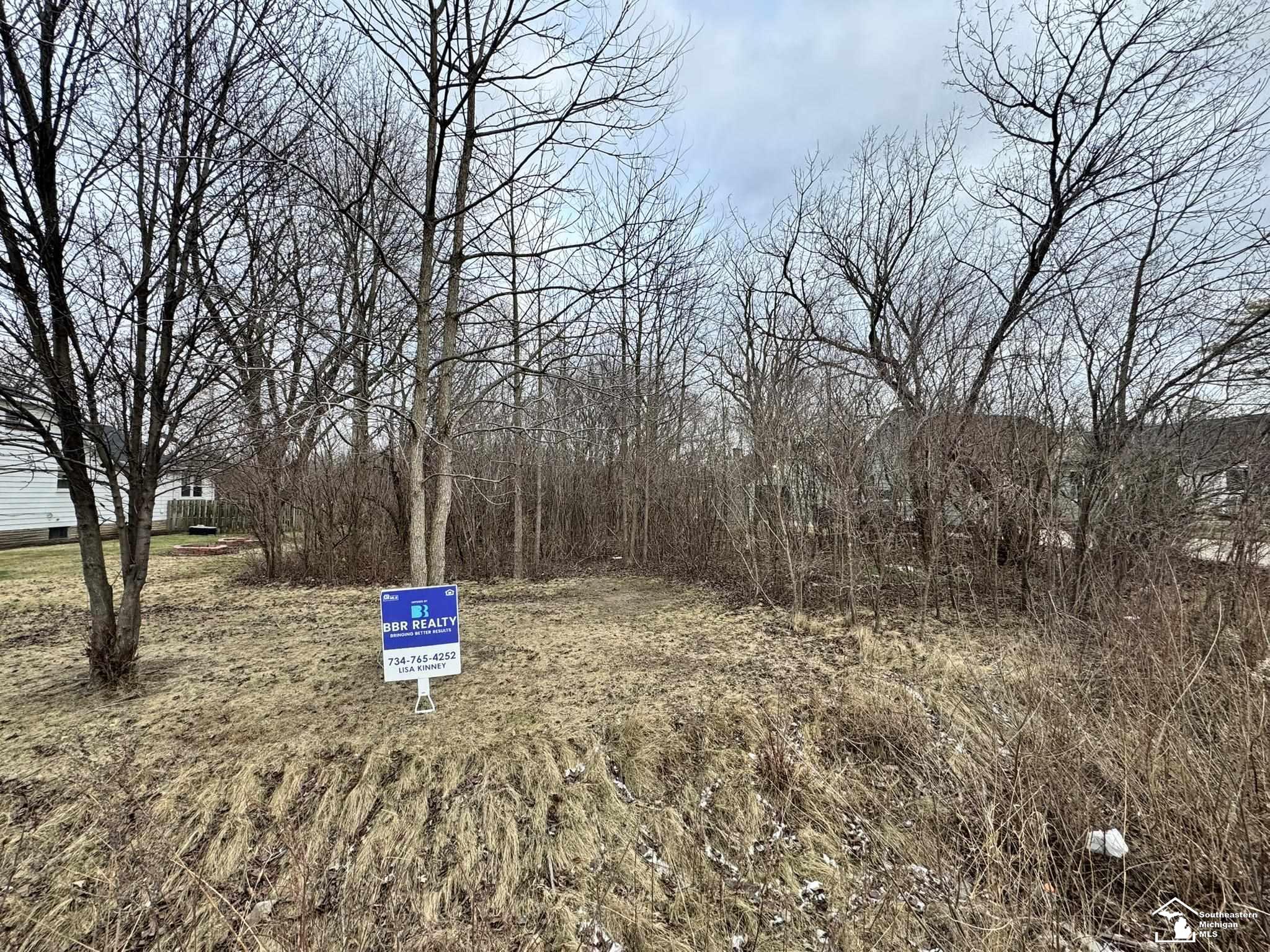 000 W Jefferson Avenue Brownstown Charter Township MI 48173