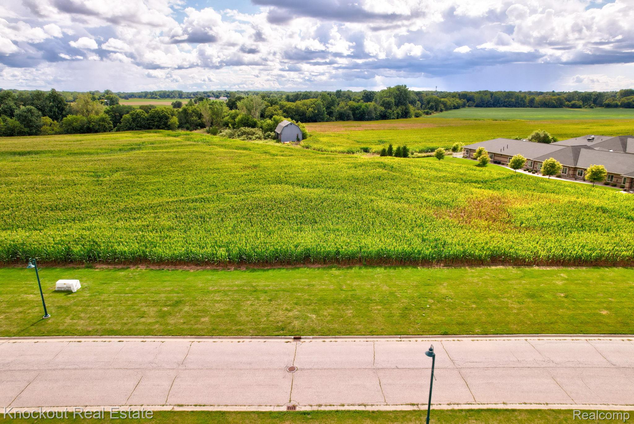Parcel D W Rolling Hills Drive Bridgeport Charter Township MI 48722