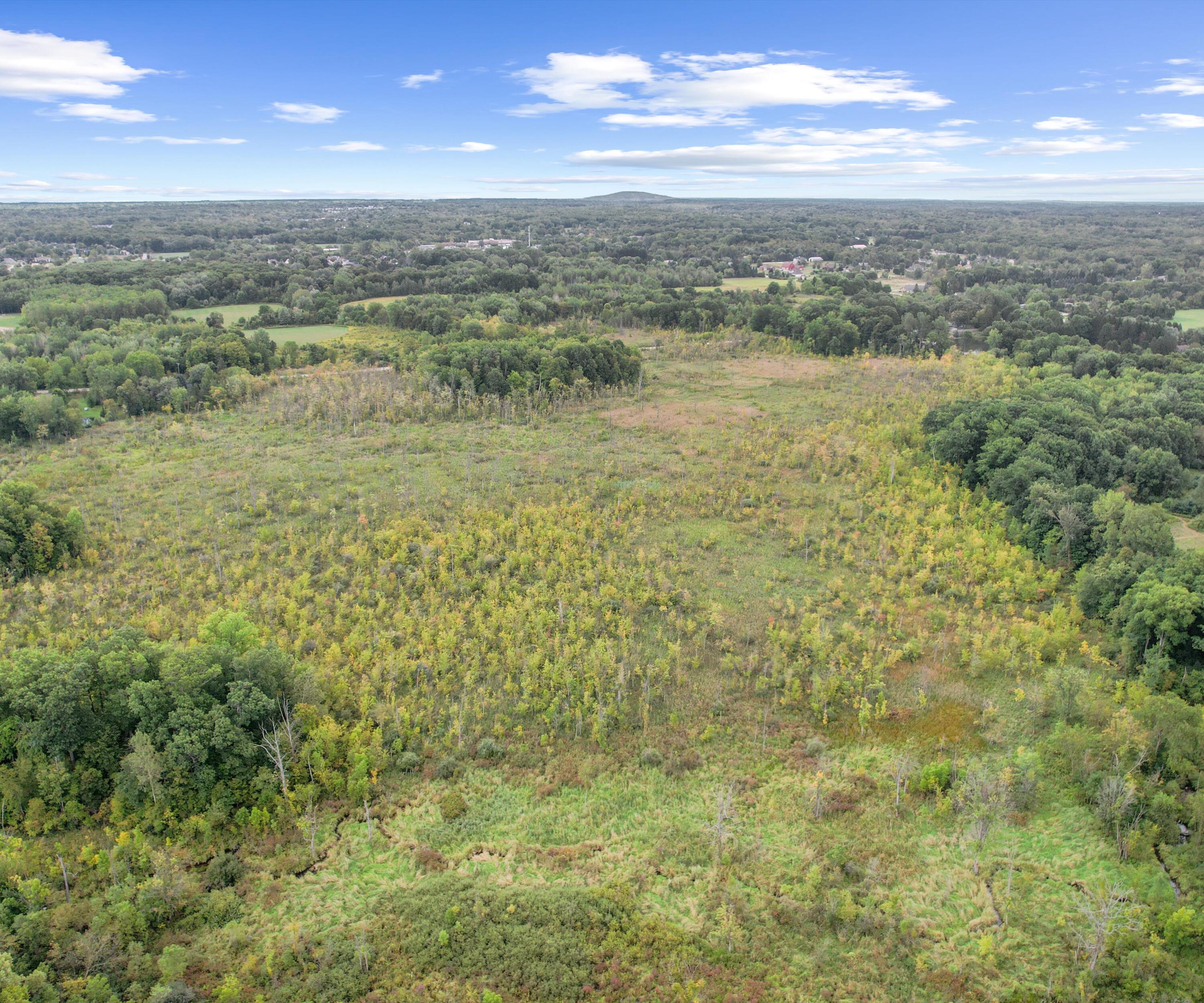 21433 N Dixboro Road Green Oak Township MI 48178