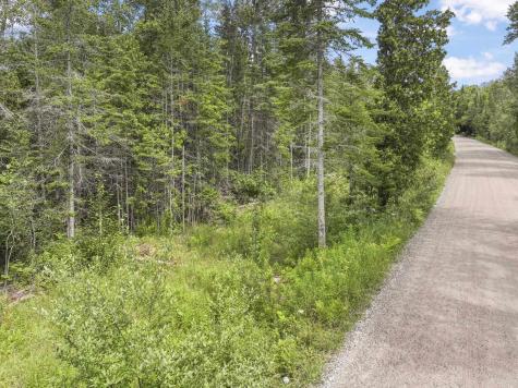 14935 N Cathead Bay Drive Leelanau Township MI 49670