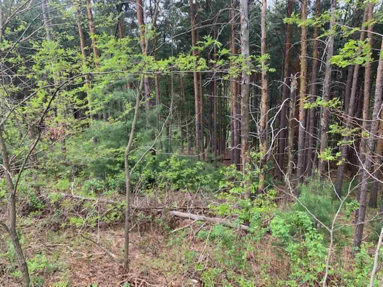 843 Wind Drift Drive Garfield Charter Township MI 49684