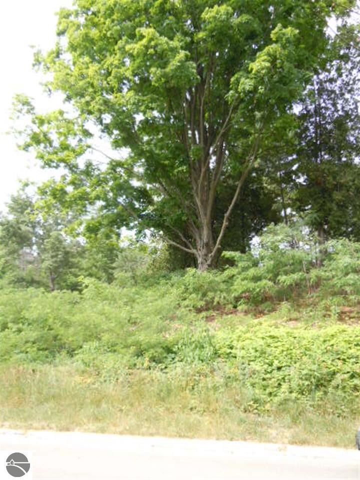843 Wind Drift Drive Garfield Charter Township MI 49684