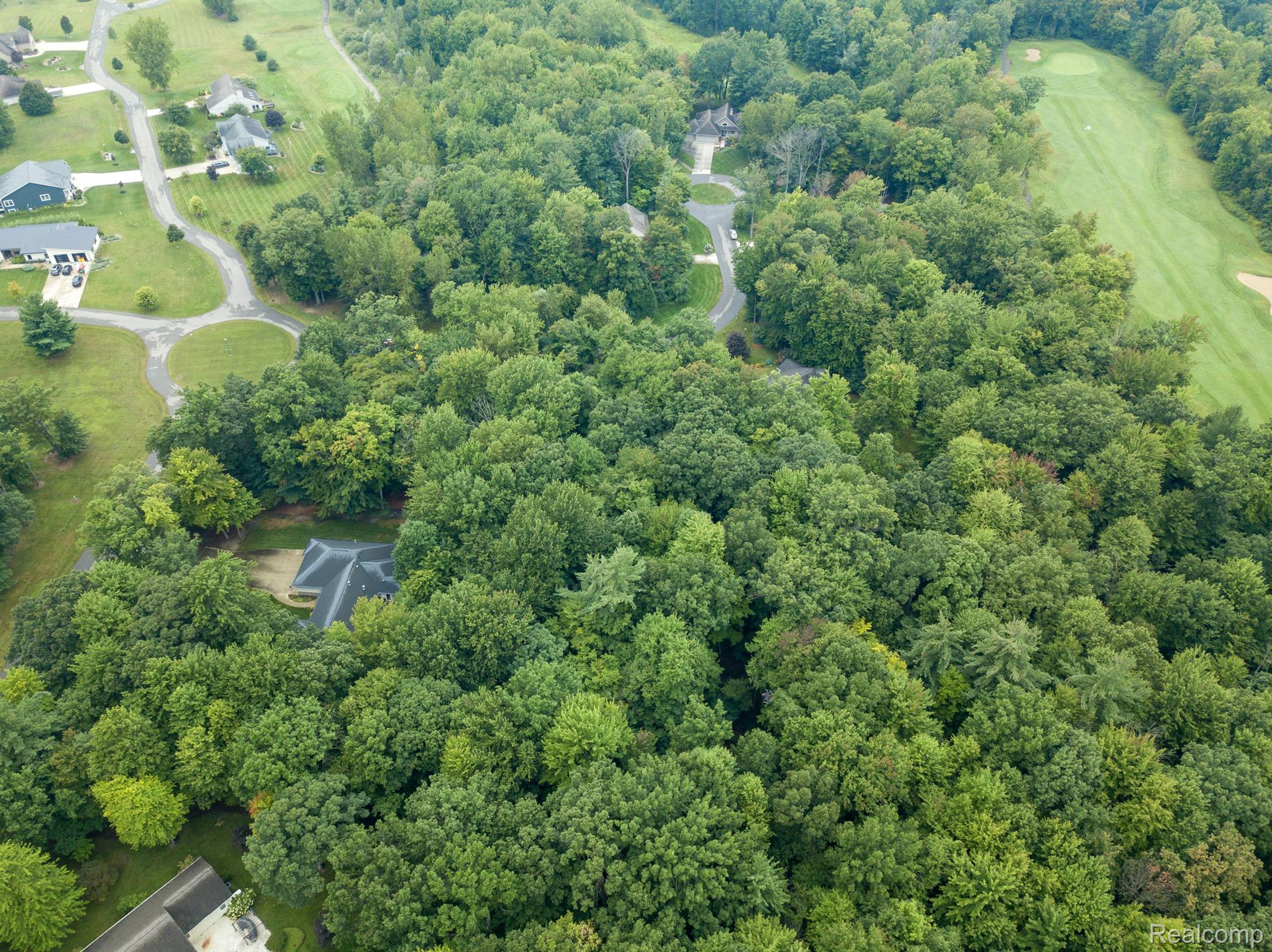 022 Evergreen Vassar Township MI 48768