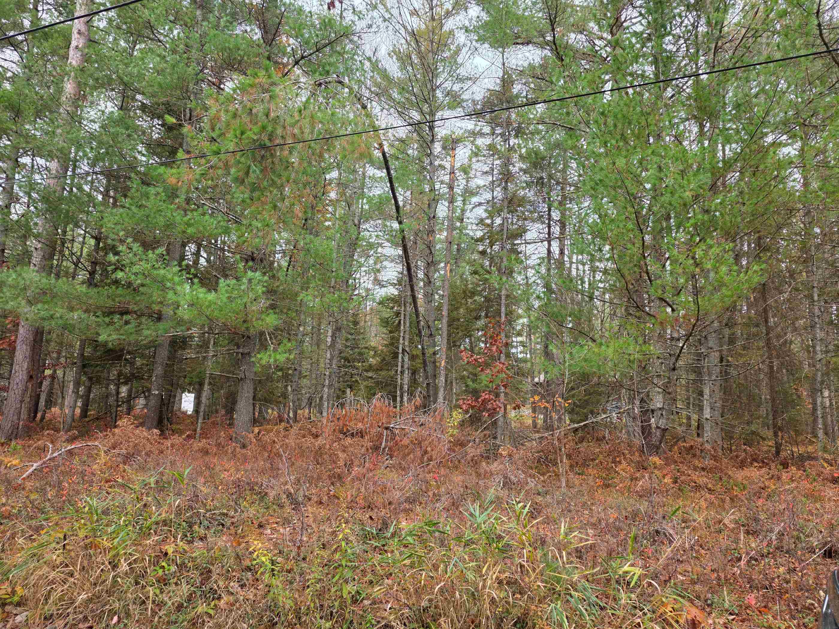 Battalion Boulevard Grayling Charter Township MI 49738