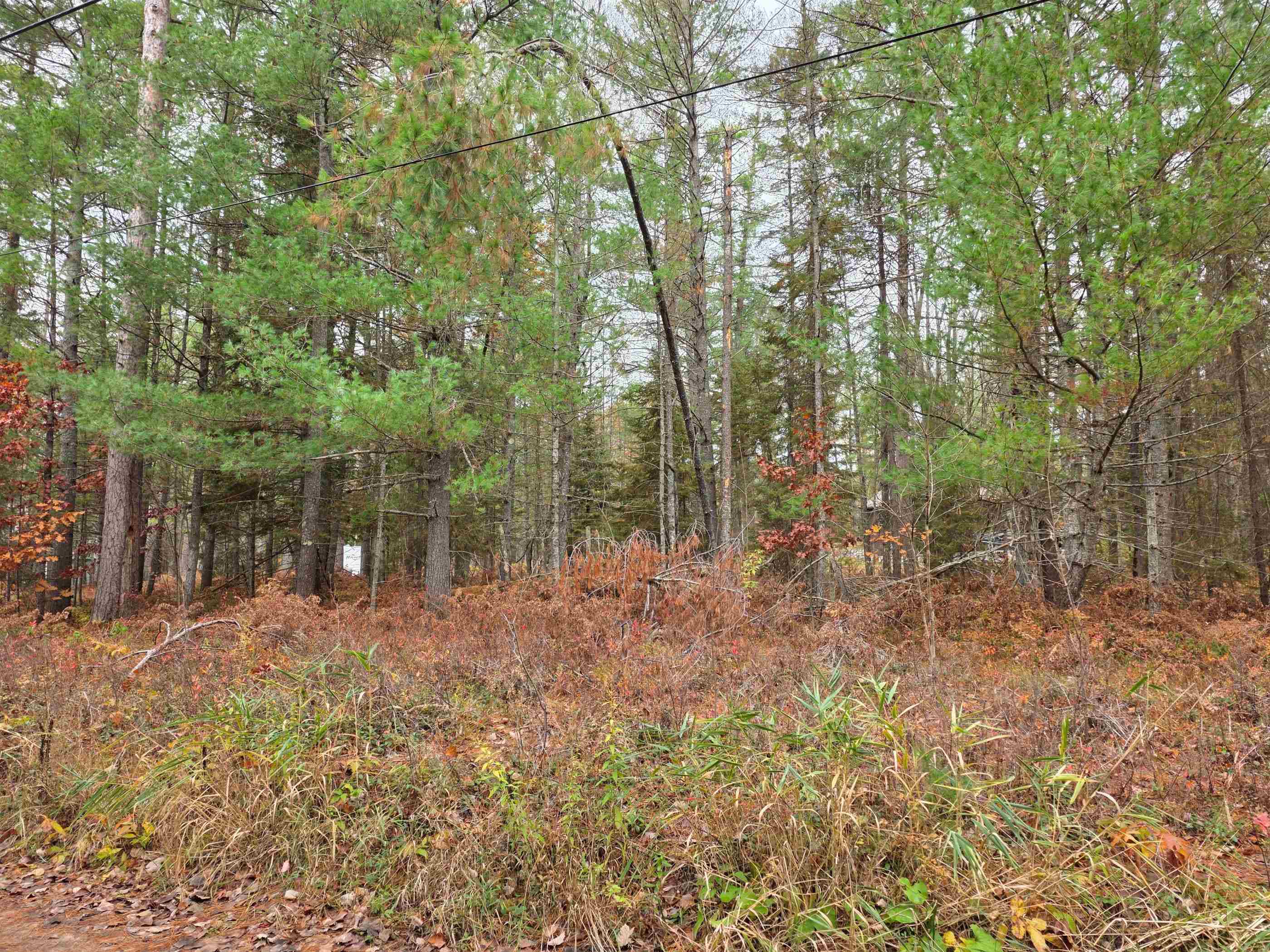 Battalion Boulevard Grayling Charter Township MI 49738