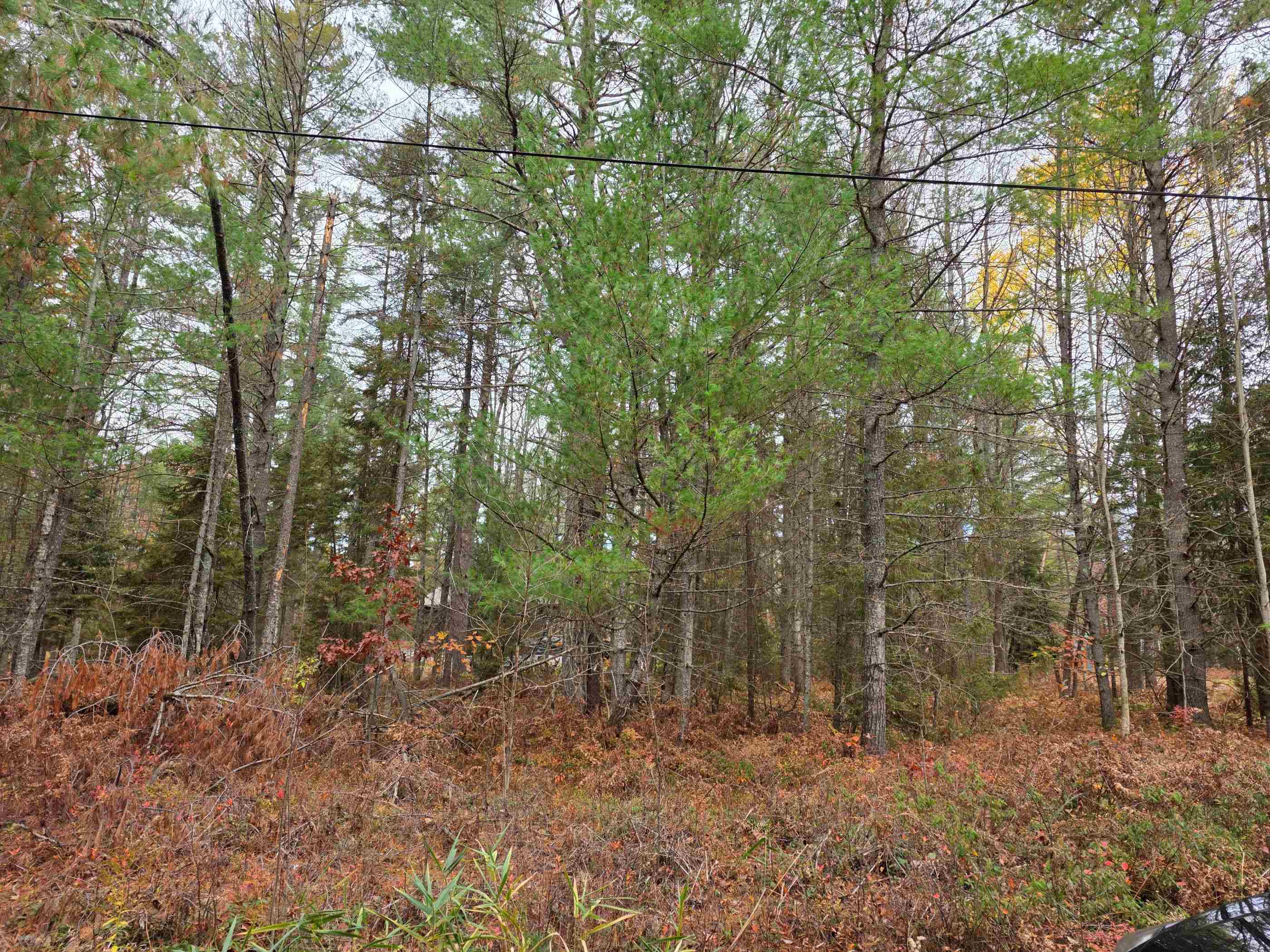 Battalion Boulevard Grayling Charter Township MI 49738