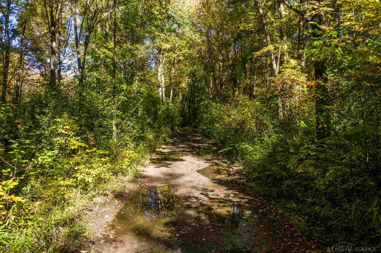 24 Vacant Lots Clay Township MI 48001