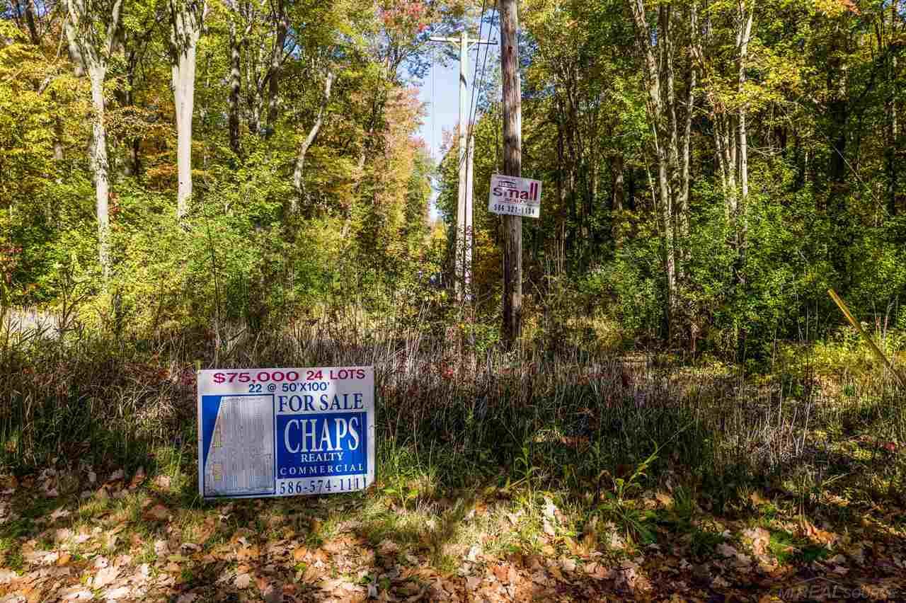 24 Vacant Lots Clay Township MI 48001