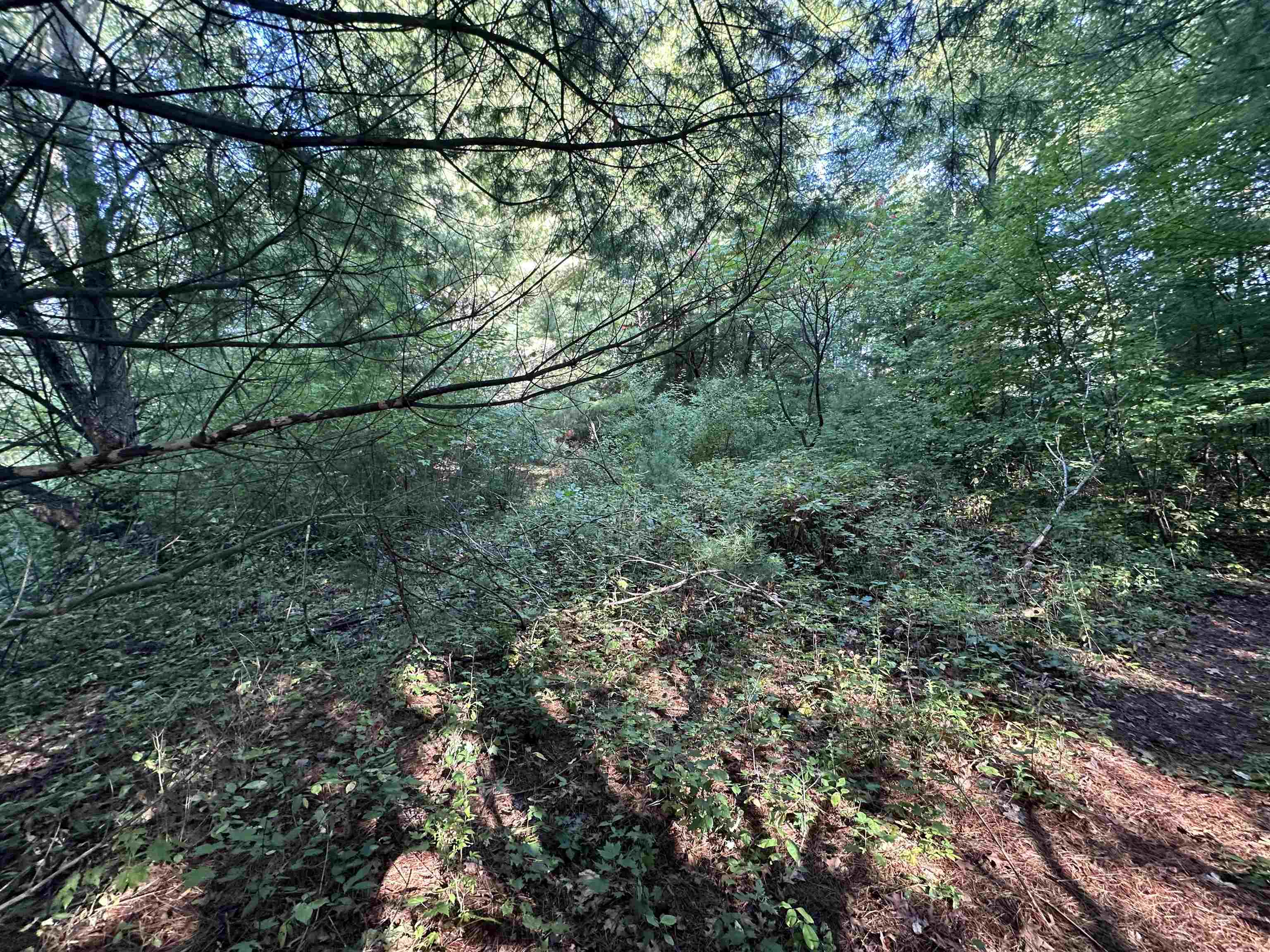 Lots 26-30 Willow Street Garfield Township MI 48632