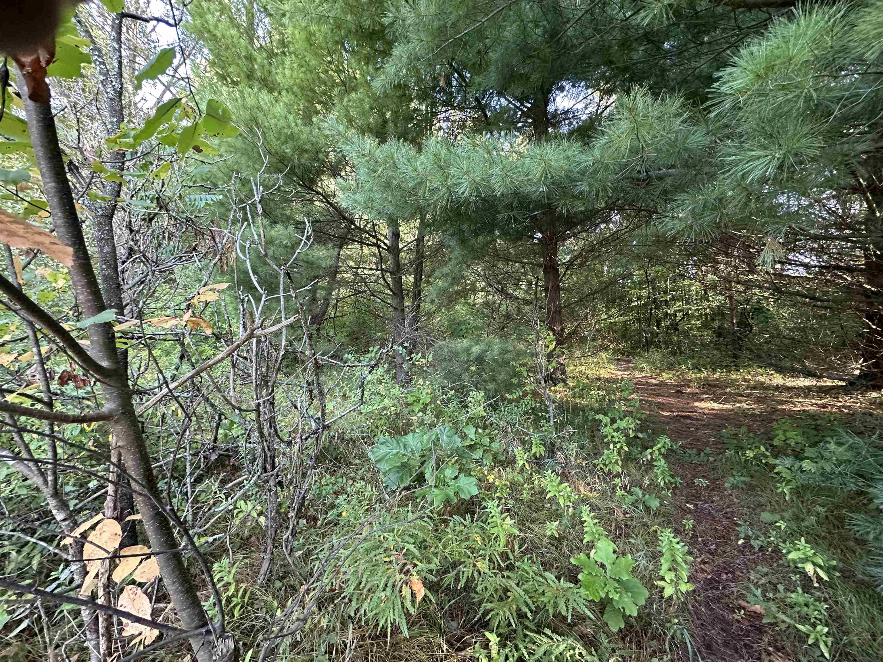Lots 26-30 Willow Street Garfield Township MI 48632