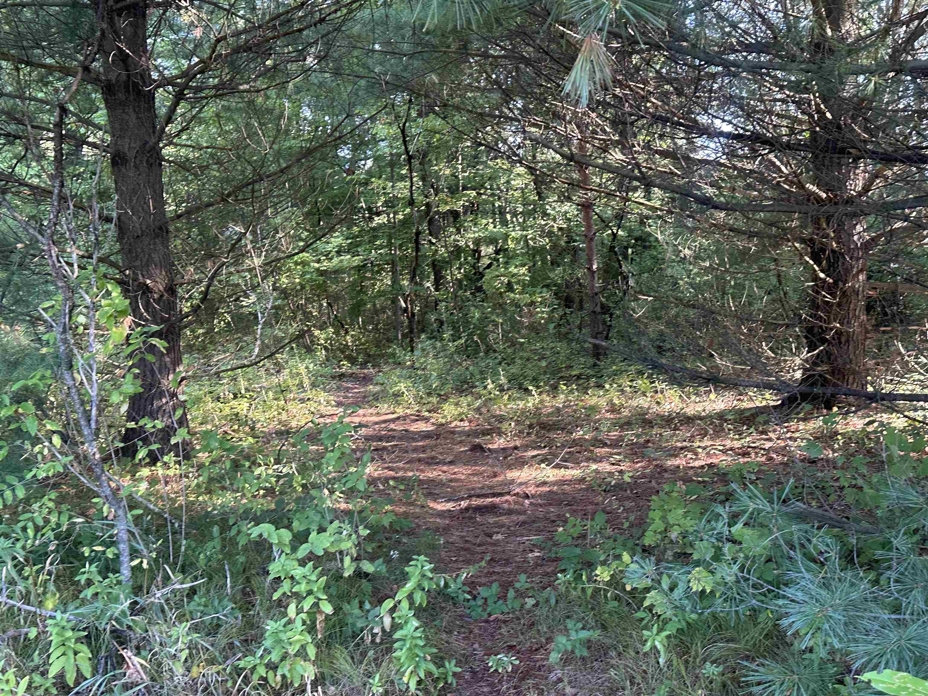 Lots 26-30 Willow Street Garfield Township MI 48632