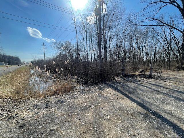 Vacant Wahrman Romulus City MI 48174