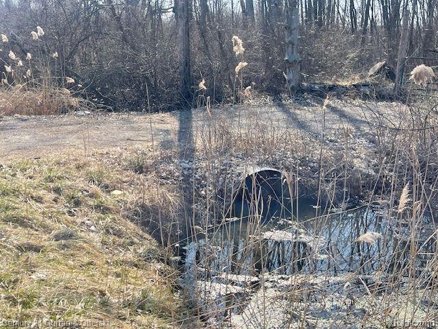 Vacant Wahrman Romulus City MI 48174