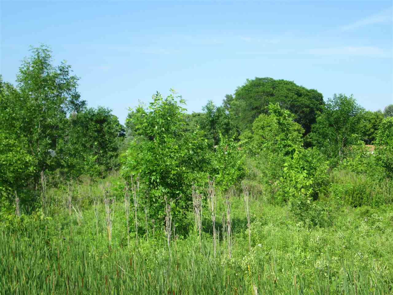 0 Wadhams Road Kimball Township MI 48074