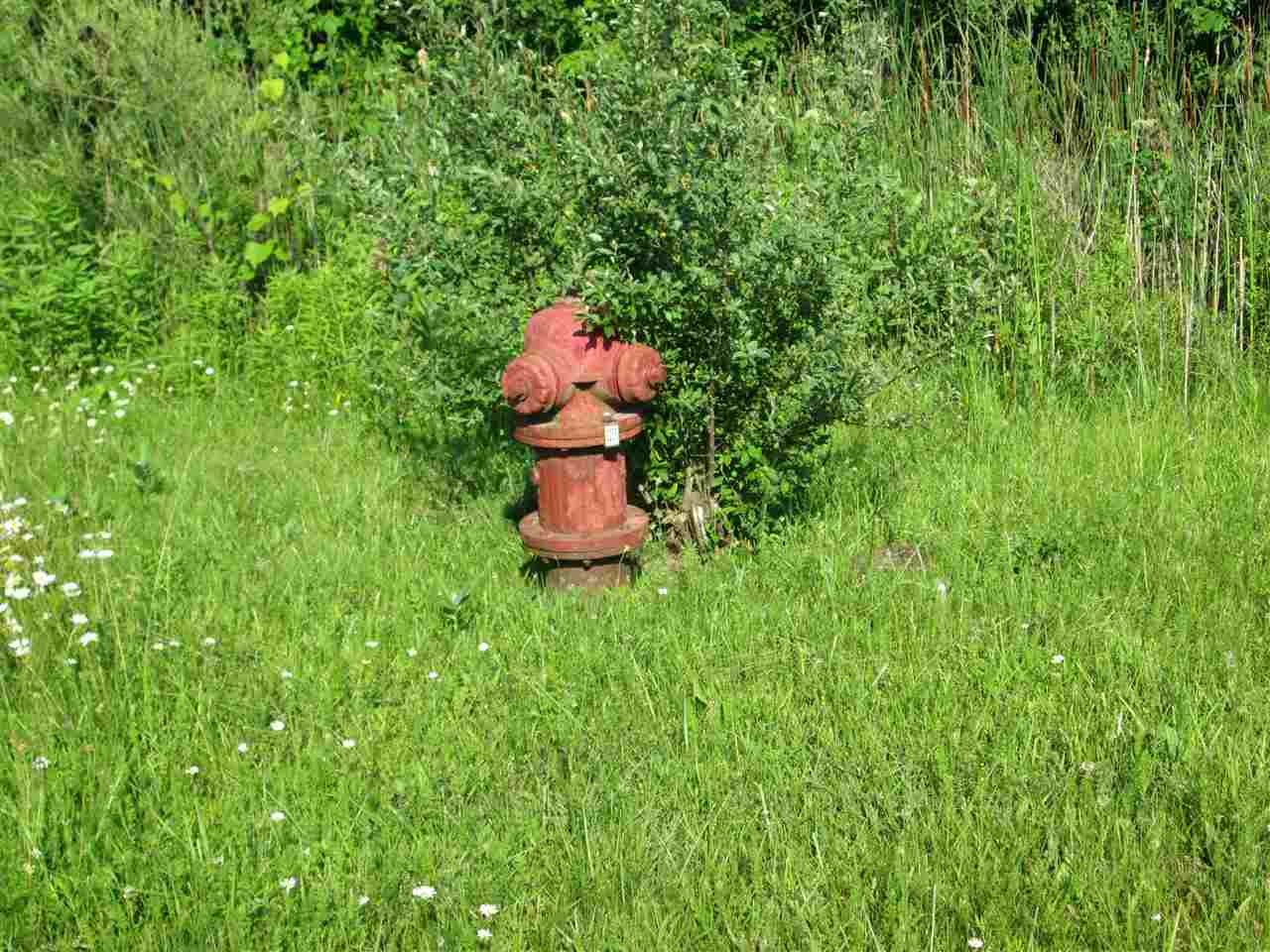 0 Wadhams Road Kimball Township MI 48074