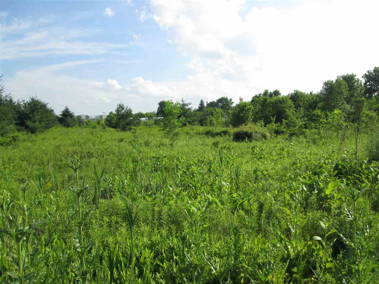0 Wadhams Road Kimball Township MI 48074