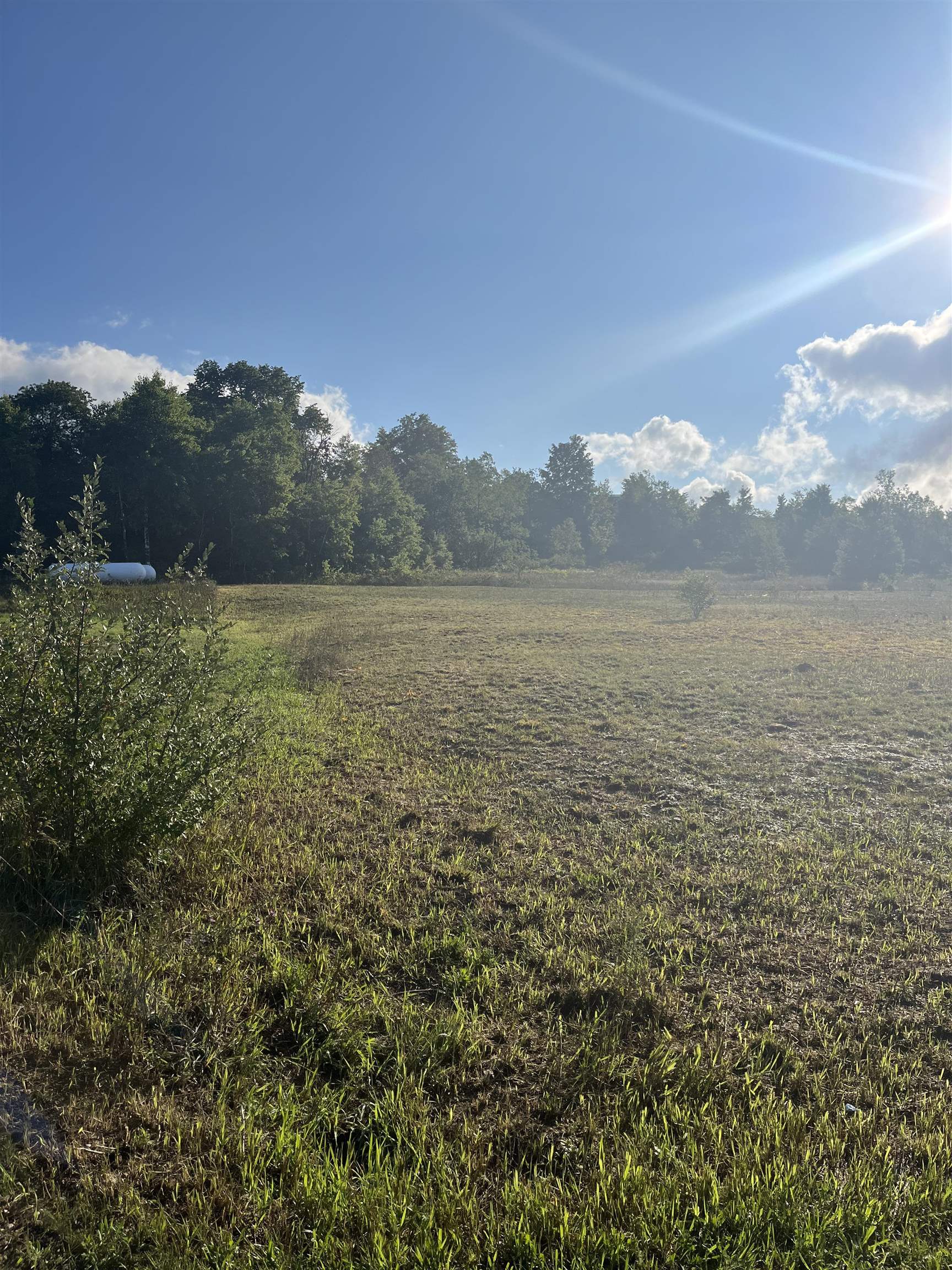 9261 Kingsfield Drive Mayfield Township MI 49649