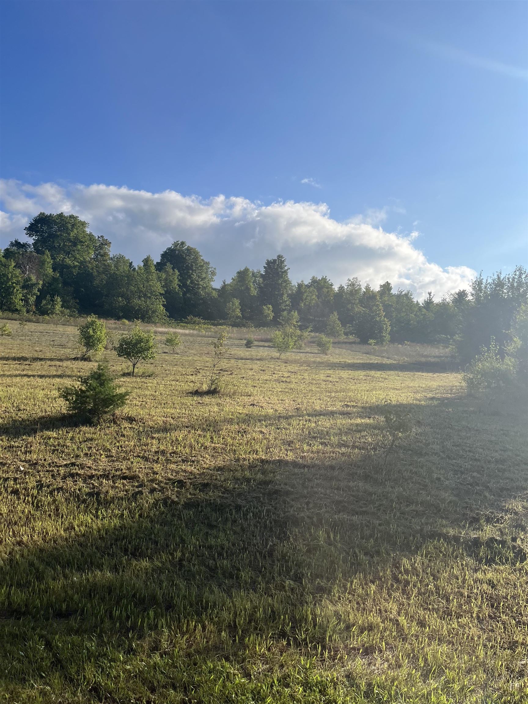9261 Kingsfield Drive Mayfield Township MI 49649