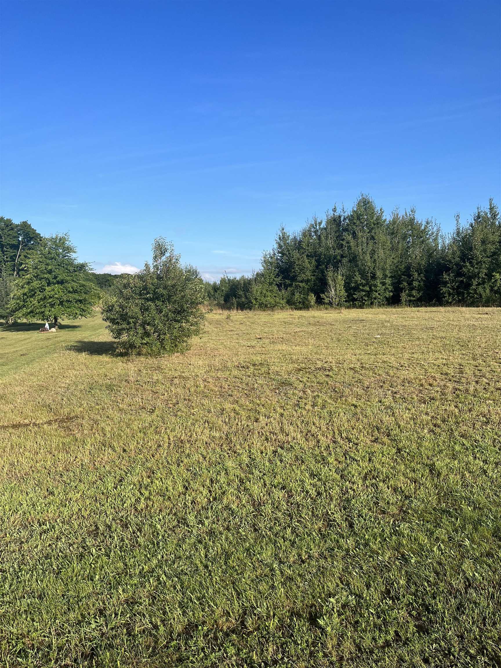 9261 Kingsfield Drive Mayfield Township MI 49649