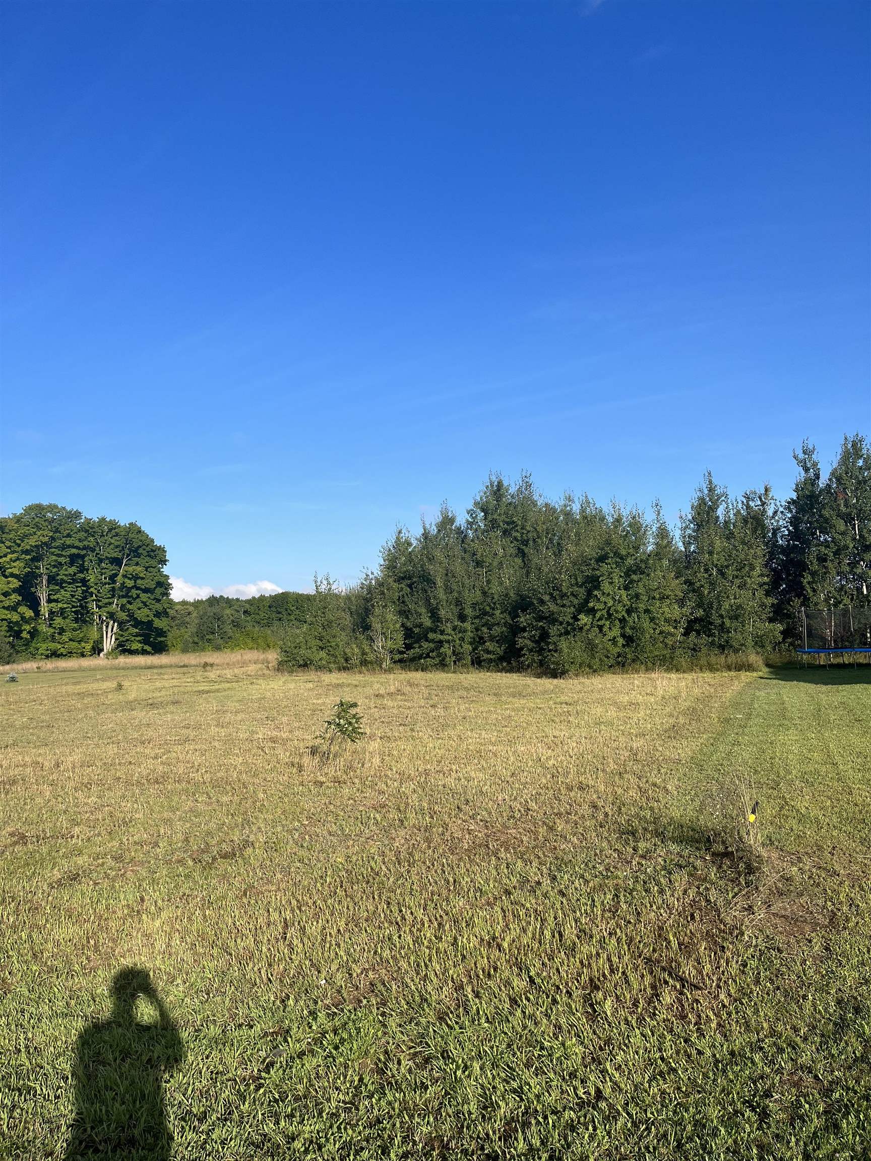 9261 Kingsfield Drive Mayfield Township MI 49649