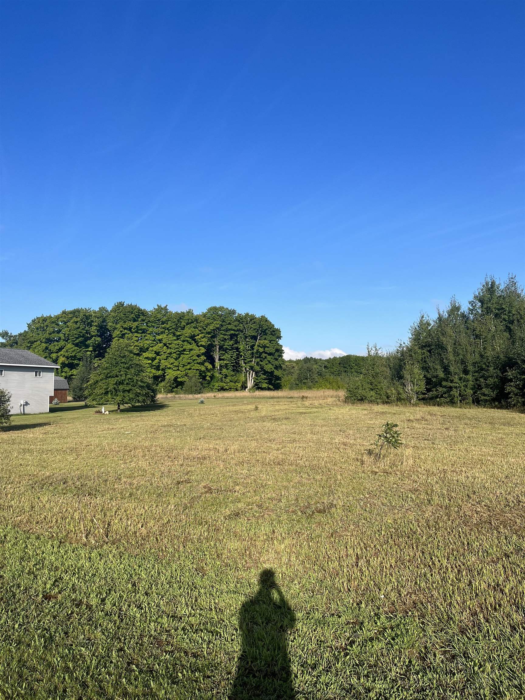 9261 Kingsfield Drive Mayfield Township MI 49649