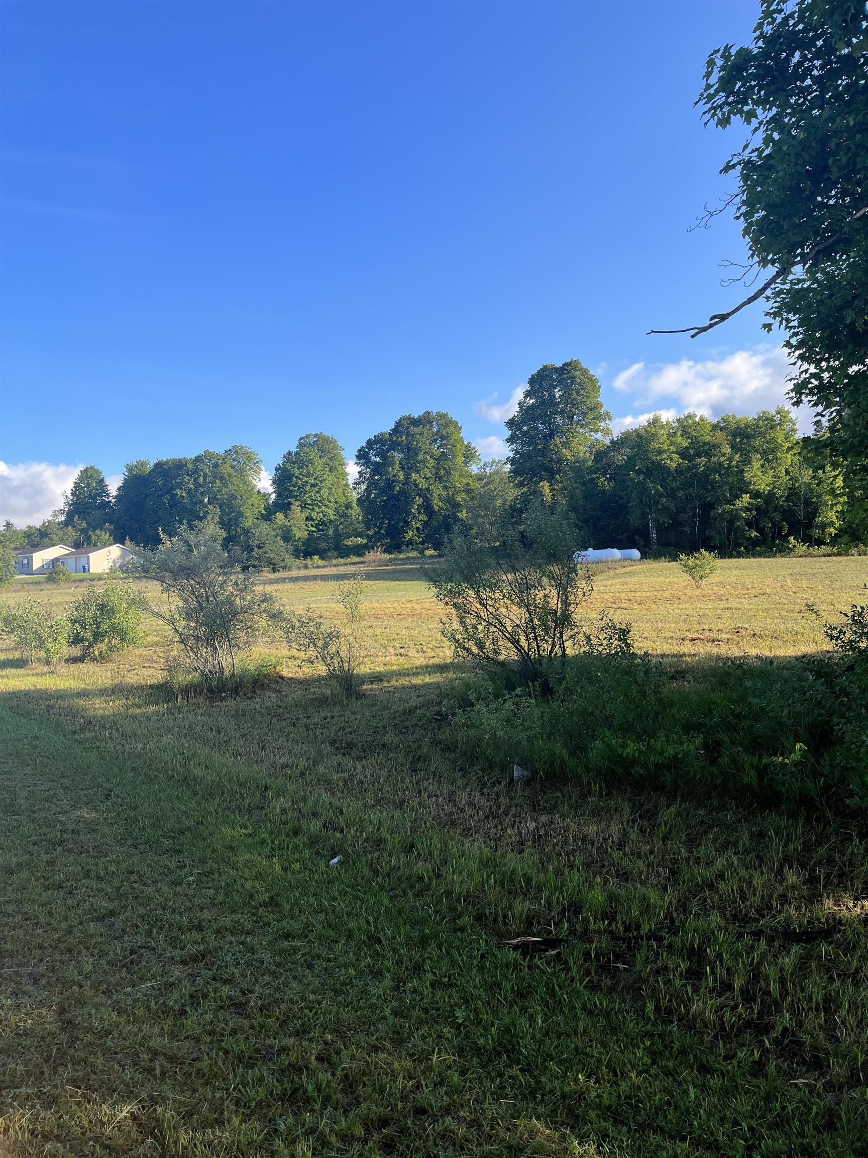 9261 Kingsfield Drive Mayfield Township MI 49649