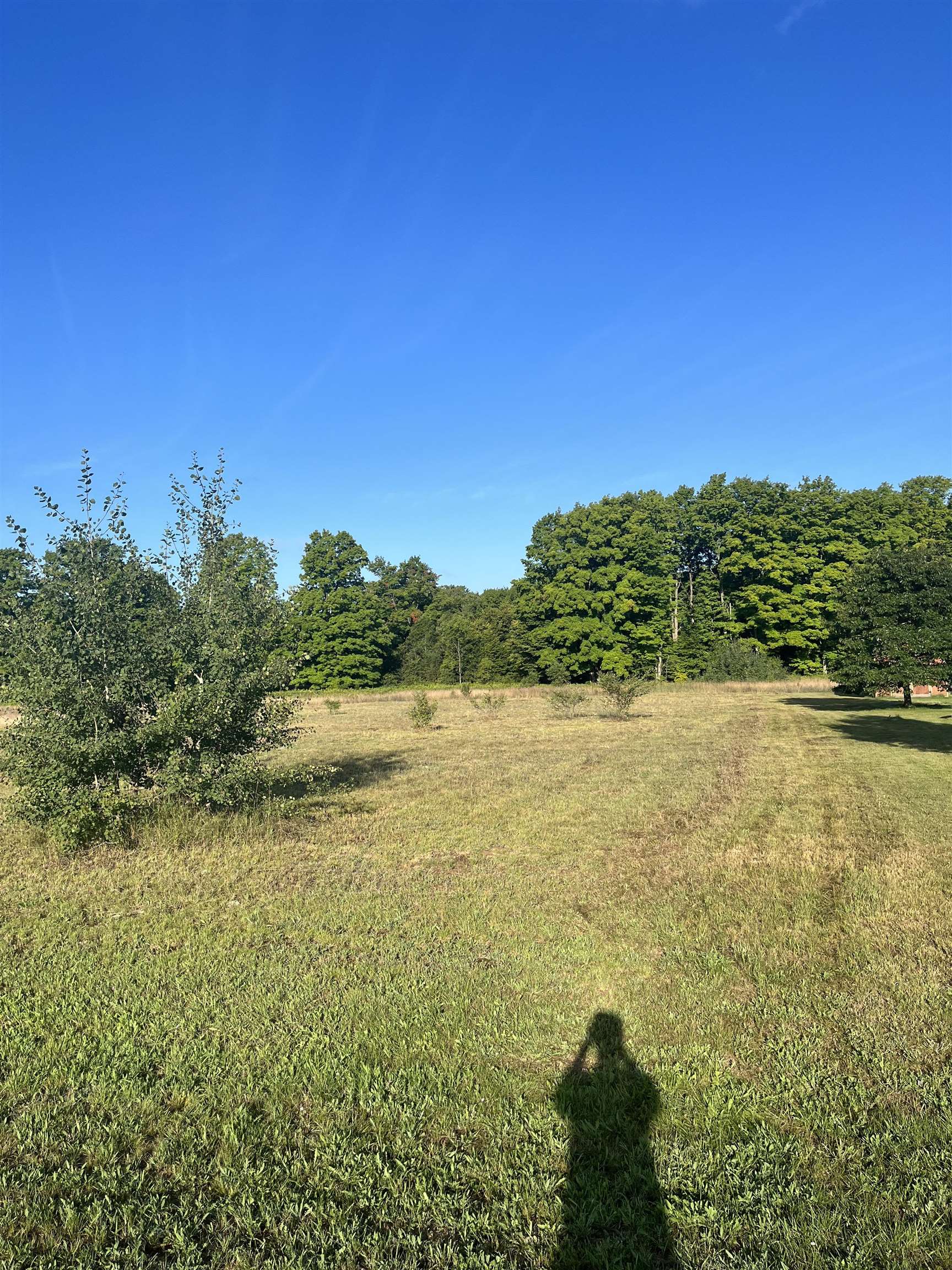 9261 Kingsfield Drive Mayfield Township MI 49649