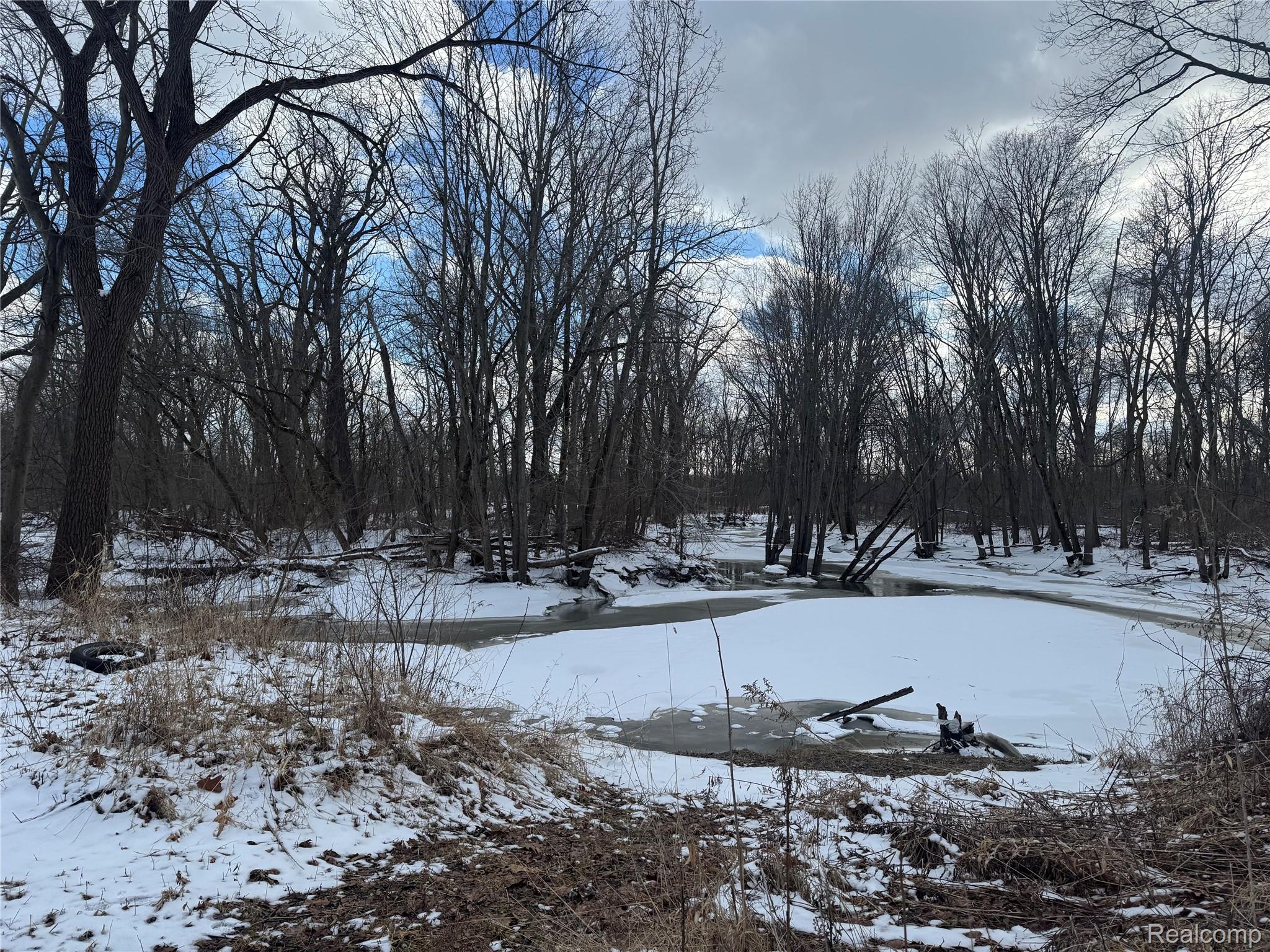 01 Remer Road China Township MI 48054